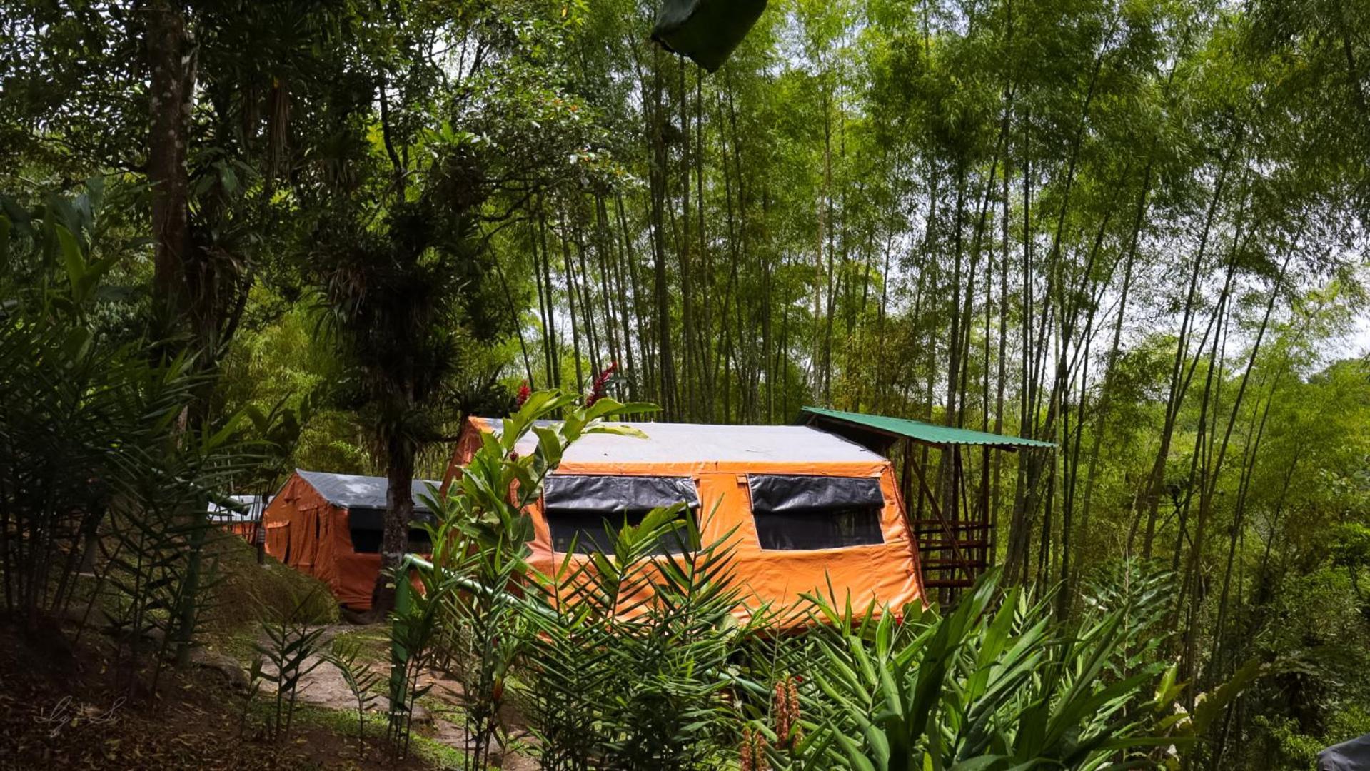 Essence Arenal Spa & Yoga El Castillo Eksteriør billede