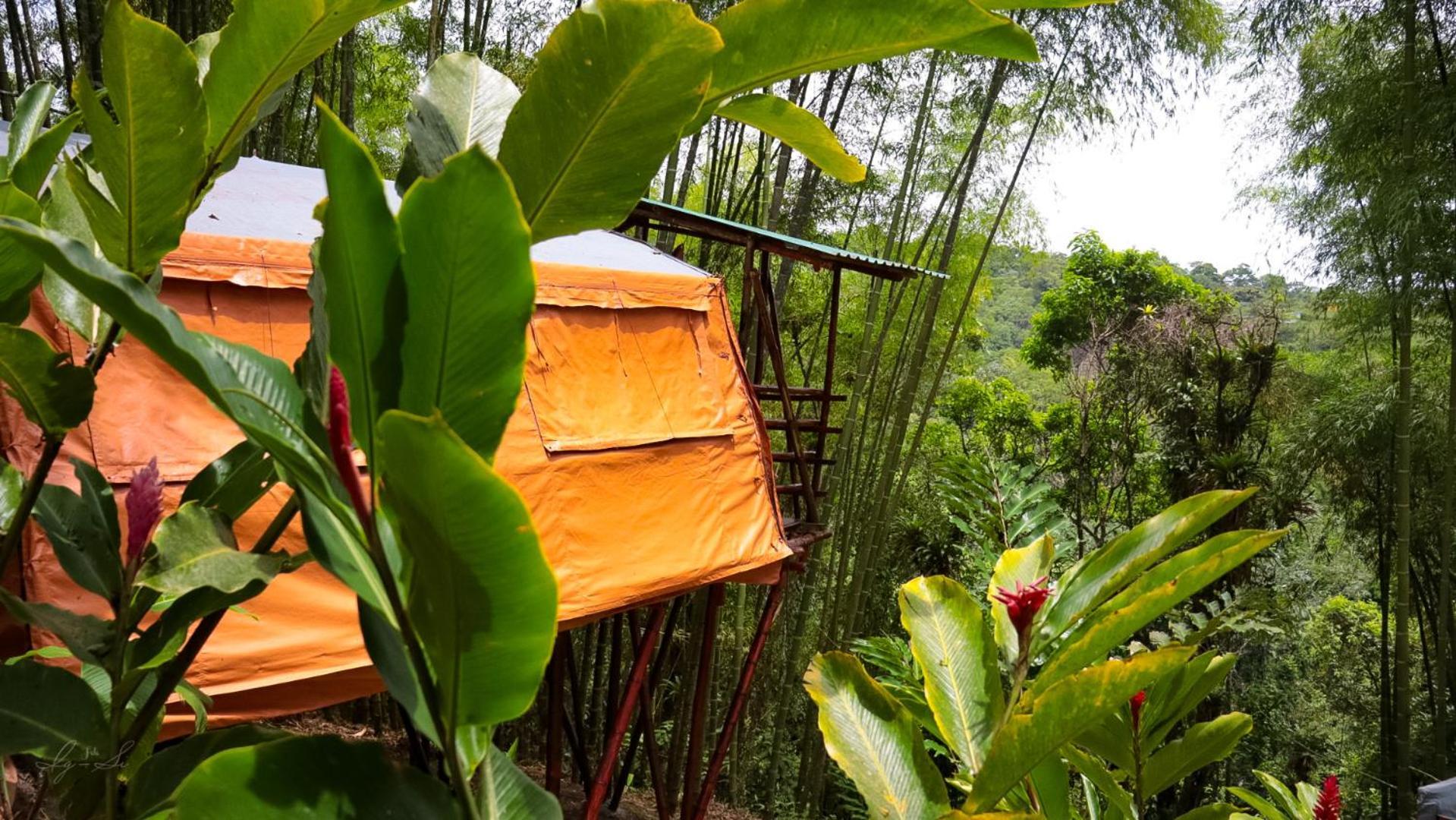 Essence Arenal Spa & Yoga El Castillo Eksteriør billede